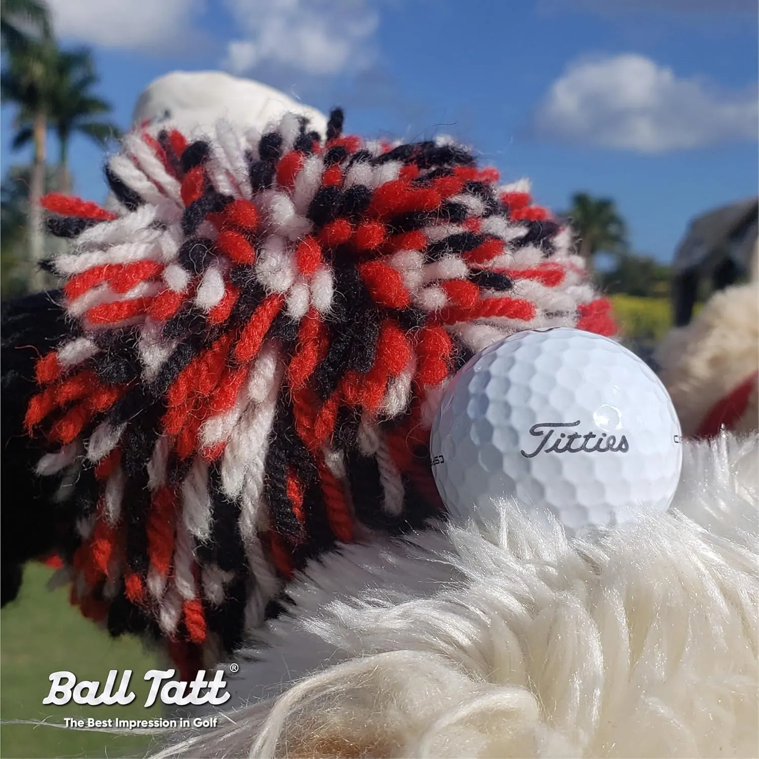 Golf Ball Stamp - Self-Inking Marker - Quick-Dry Permanent Marking Tool, No Leaks or Refills, Reusable & Waterproof Golfing Stamper - Ideal Gift for Golfers, Dads, Retirement, Funny, Parody (Humor).